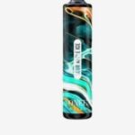 KANG VAPE 3000 PUFFS DISPOSABLE PENS 10CT - SOUR APPLE ICE